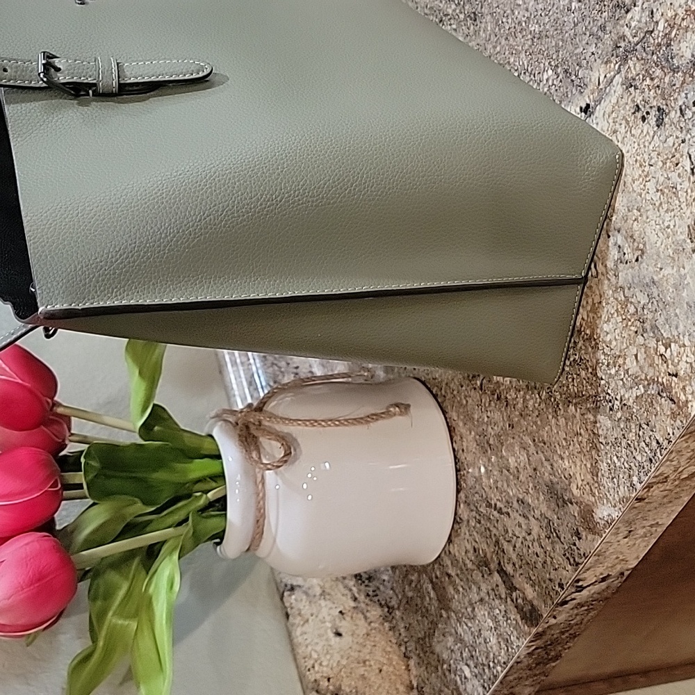 COACH NWOT Pebble Leather Mollie Large Tote Bag Pale Pistachio Green - Picture 3 of 7